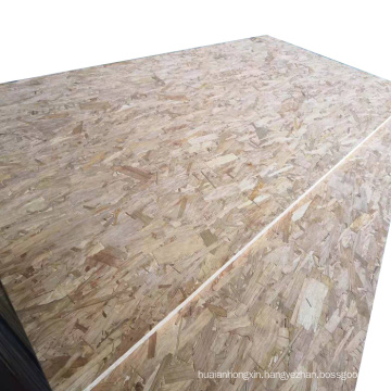 OSB Board/OSB Sheet/OSB Panel